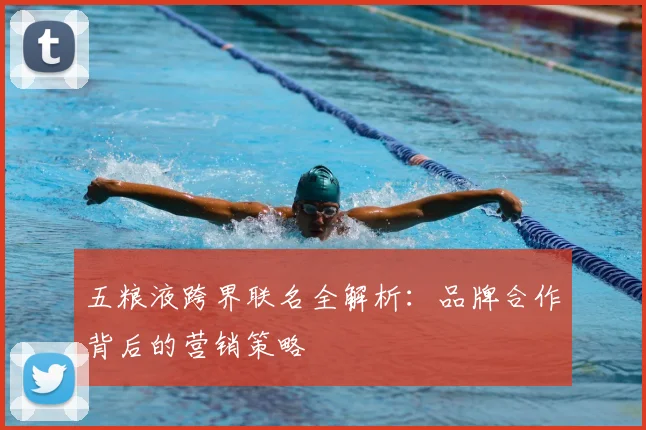 五粮液跨界联名全解析：品牌合作背后的营销策略