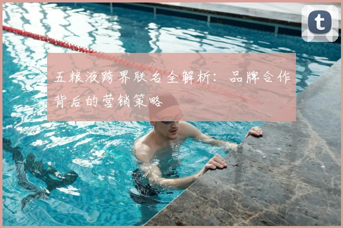 五粮液跨界联名全解析：品牌合作背后的营销策略